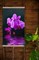 Инфракрасный электрический пленочный настенный обогреватель "Фиолетовое настроение" - фото 6248